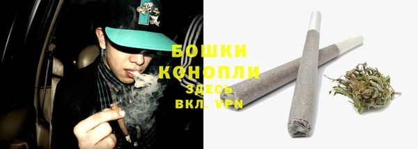 прущие крисы Аркадак