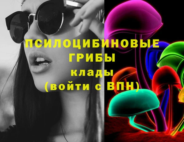 сатива Алзамай